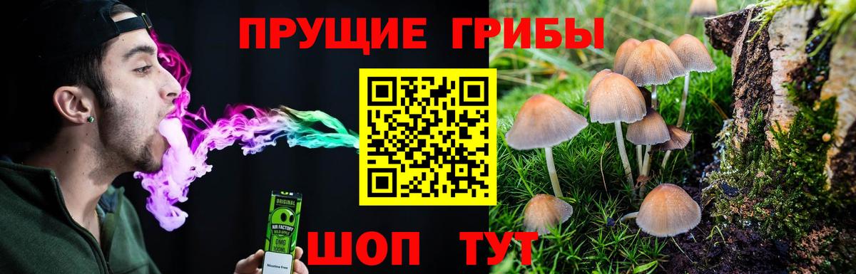 Галлюциногенные грибы MAGIC MUSHROOMS Люберцы